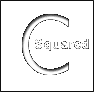 美國C-Squared單一氣體檢測儀