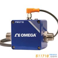 美國(guó)OMEGA FMG70B低流量電磁流量計(jì)